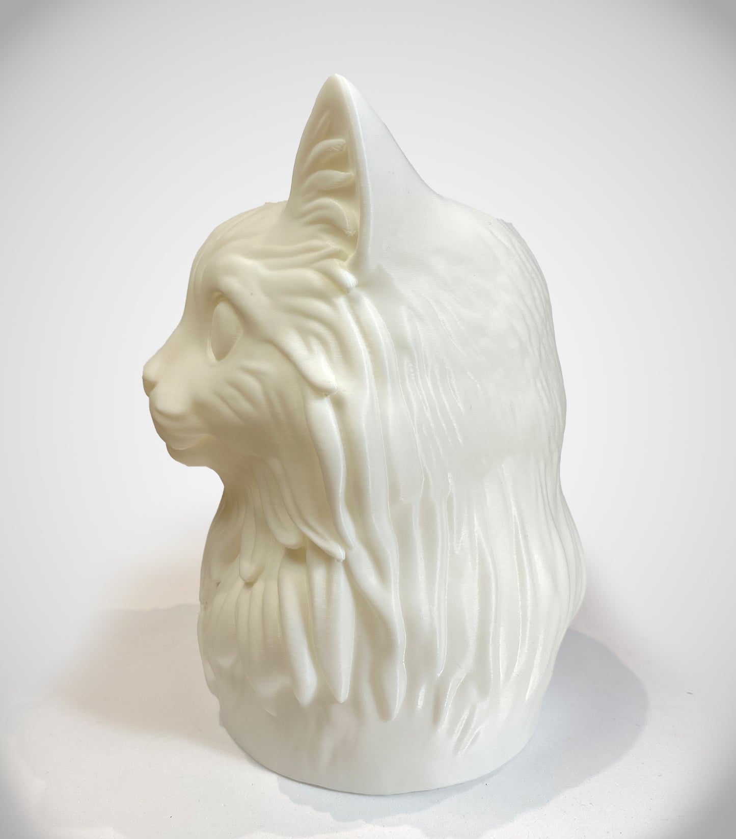Kat Organizer