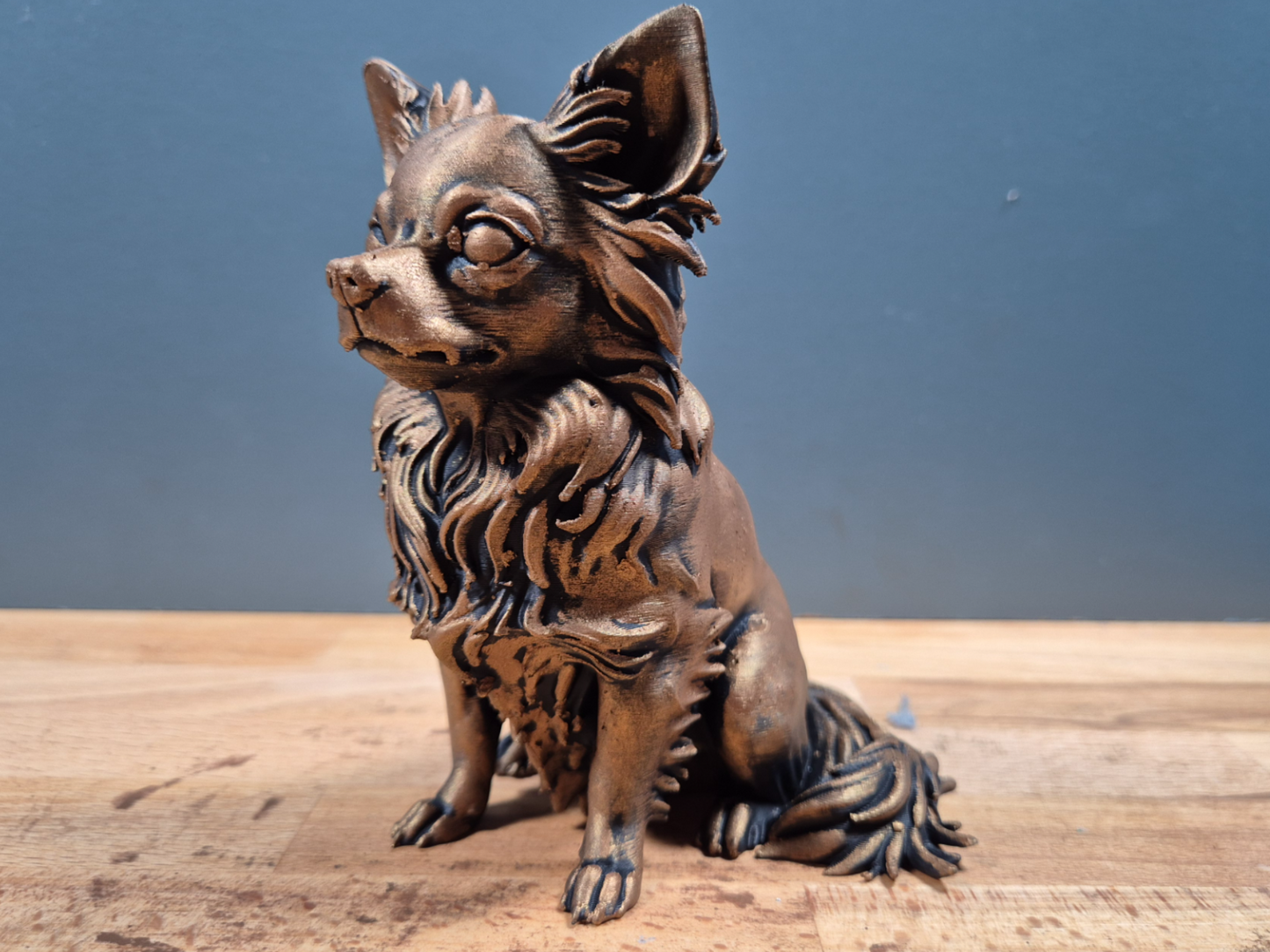 Langhåret Chihuahua - Hundefigur