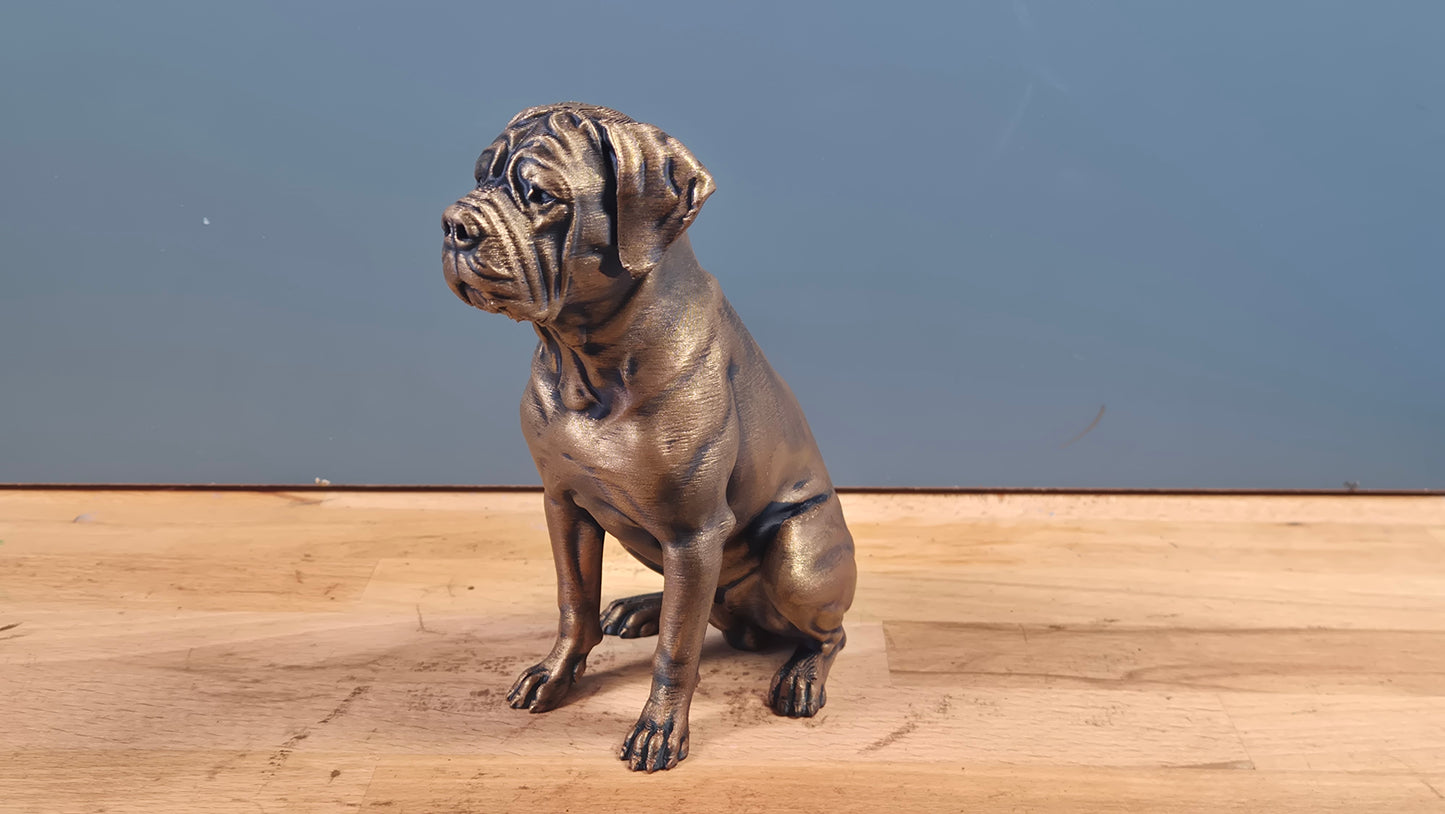 Cane Corso - Hundefigur