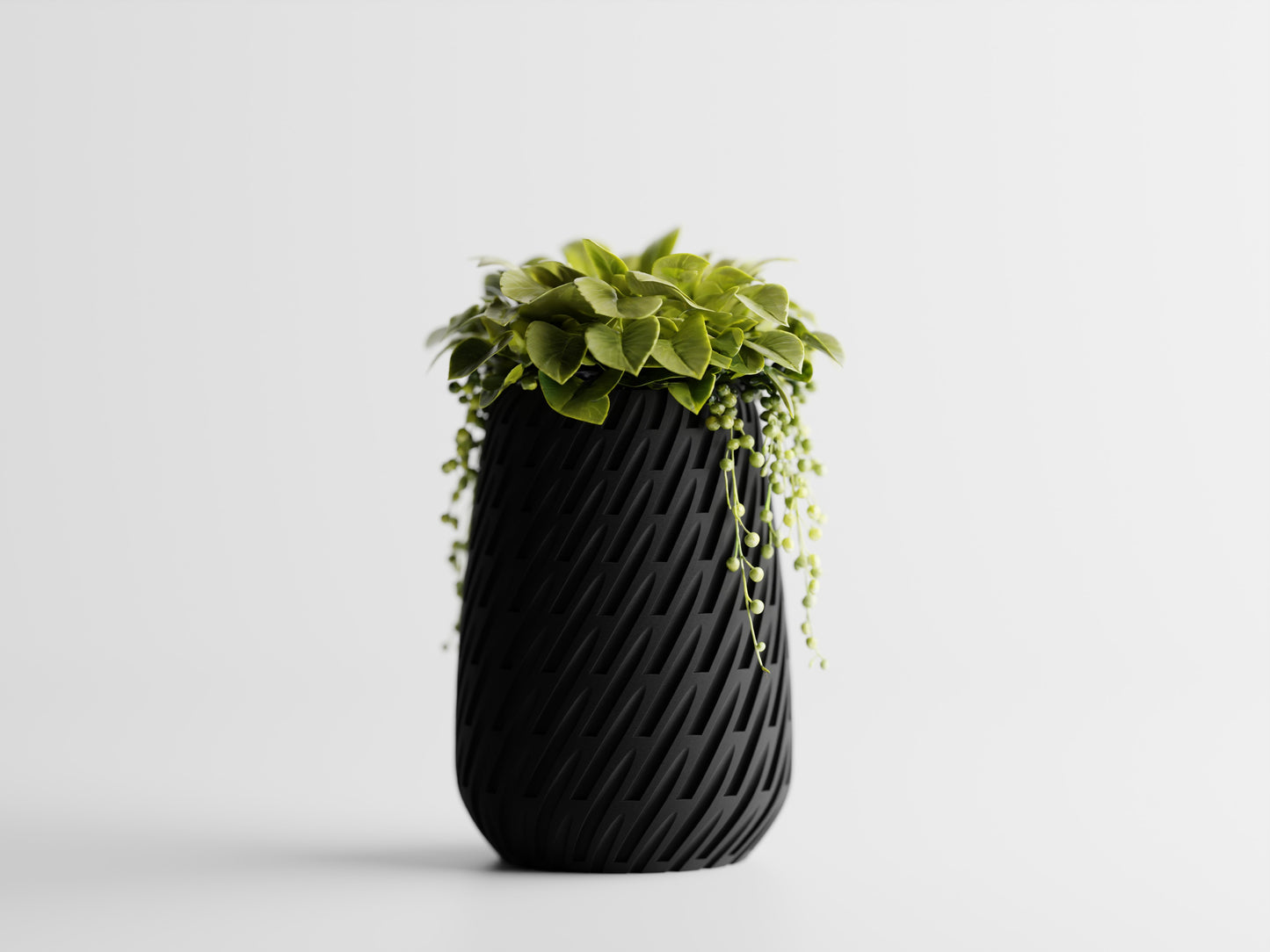 Lioren Vase