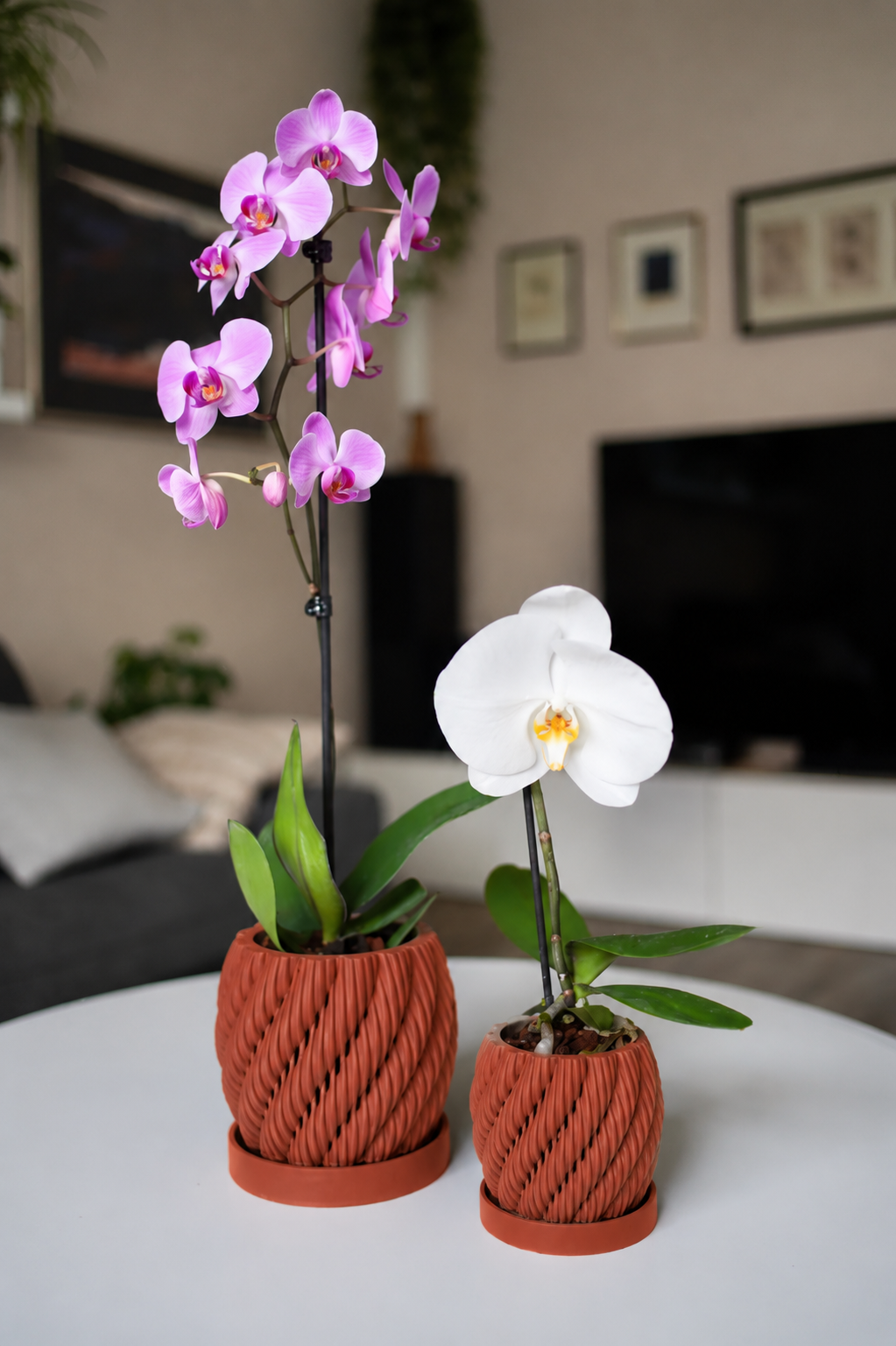 Aeris Urtepotte
