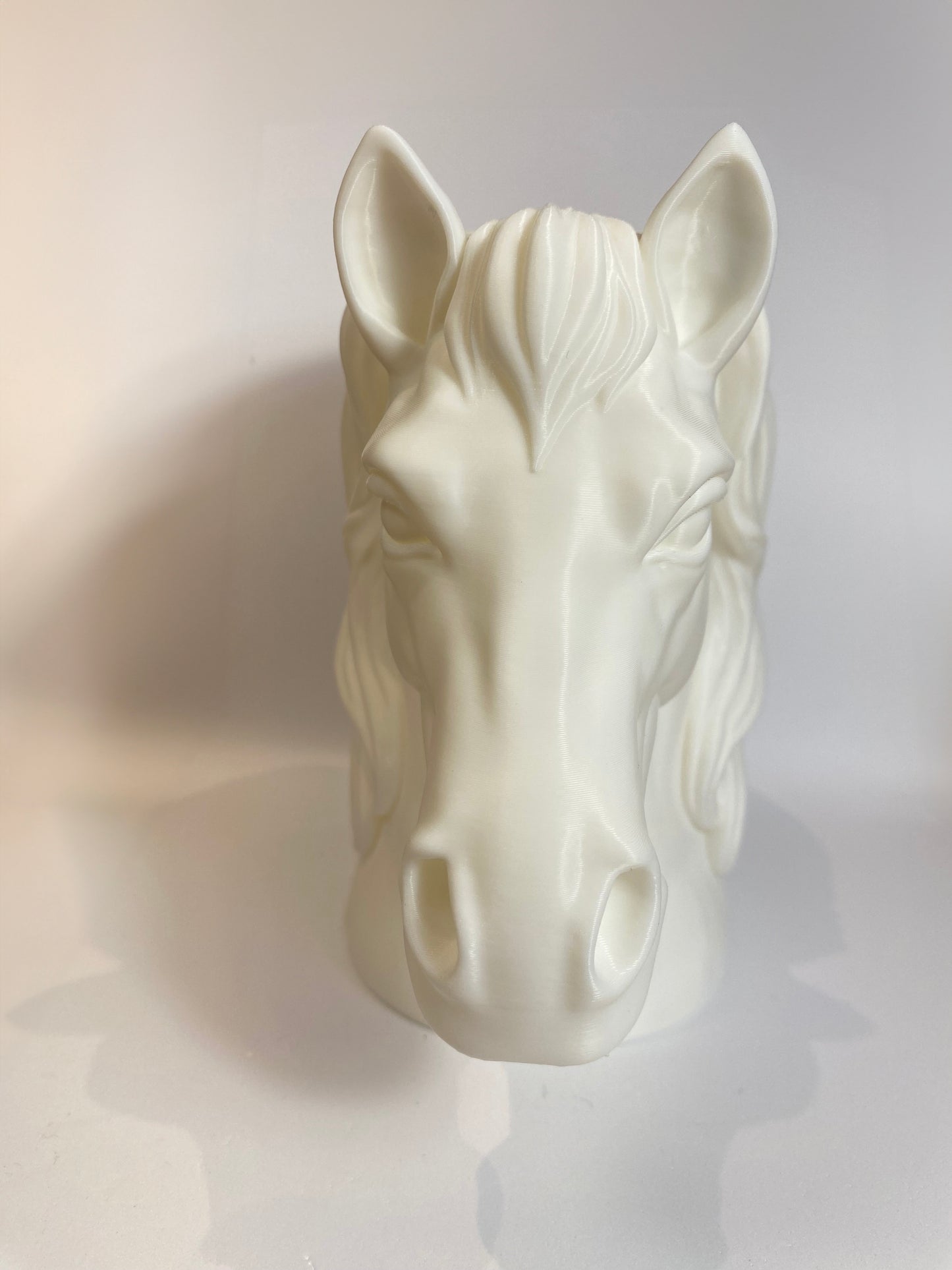 Hest Organizer